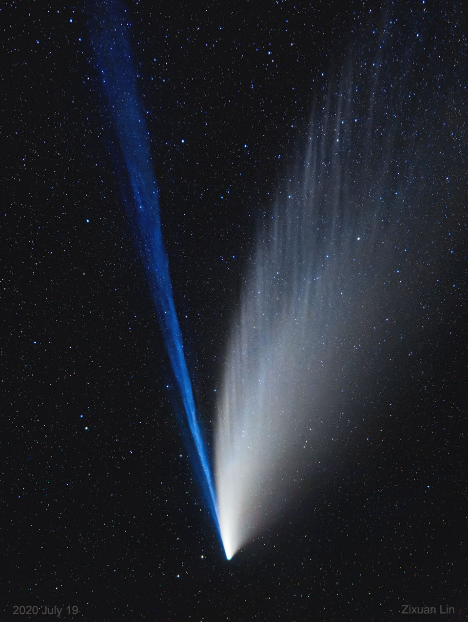 A photo of a comet against a backdrop of stars in space. It looks like it has two split tails: the left one is bright blue and the other is shimmering and white.