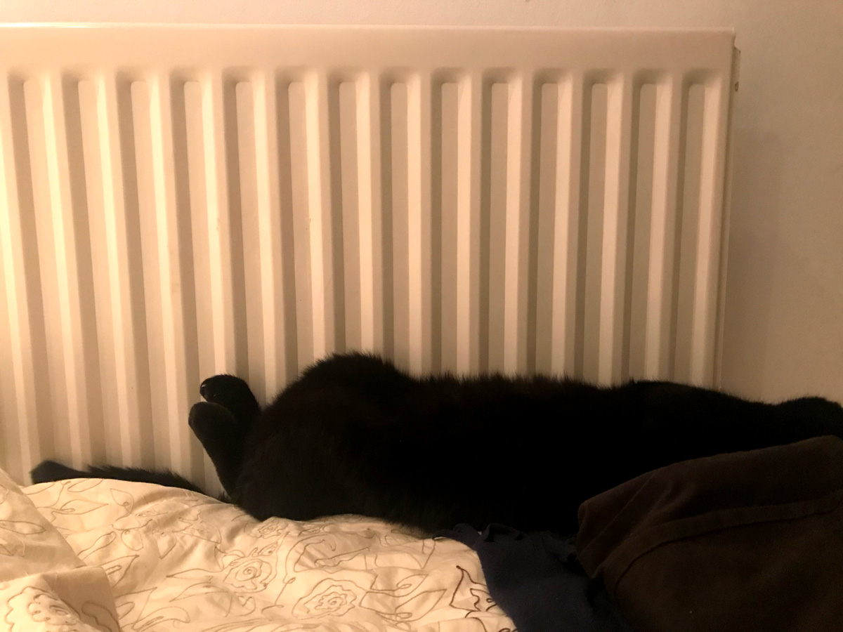 A cat lying upside down, with his legs next to the heater