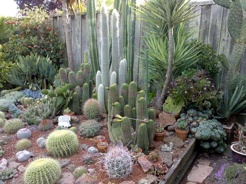 outdoor succulent garden design, are.na / outdoor-succulent-garden-ideas, Design ideen