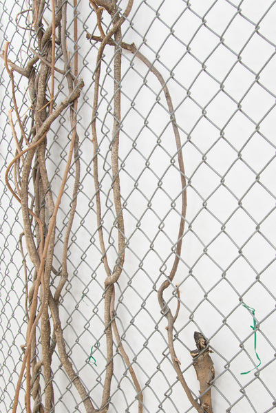 2017.05 Charles Harlan: Sailboat, Trees, 2016 (detail) 2017.05 Charles Harlan: Sailboat, Trees, 2016 (detail)
