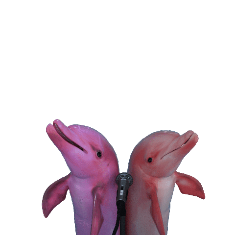 karaoke dolphins