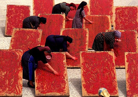 Italian woman making tomato paste in the traditional way