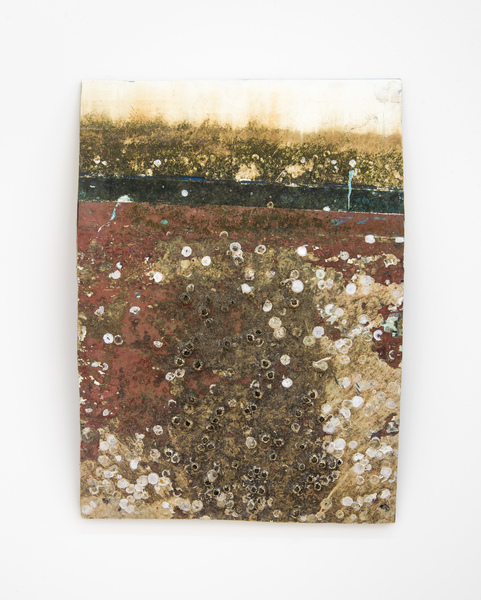2017.05 Charles Harlan: Sailboat, Barnacles, 2017 2017.05 Charles Harlan: Sailboat, Barnacles, 2017