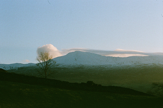 A snow-topped mountain in Wales with wispy clouds just above its peak and a tree in the foreground