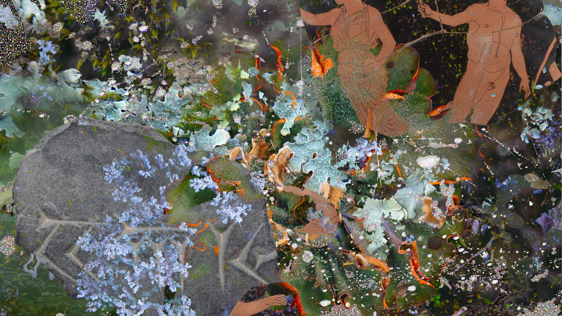 A collage with fragments of pottery and stone carvings, a spiderweb covered in dewdrops and colourful lichens