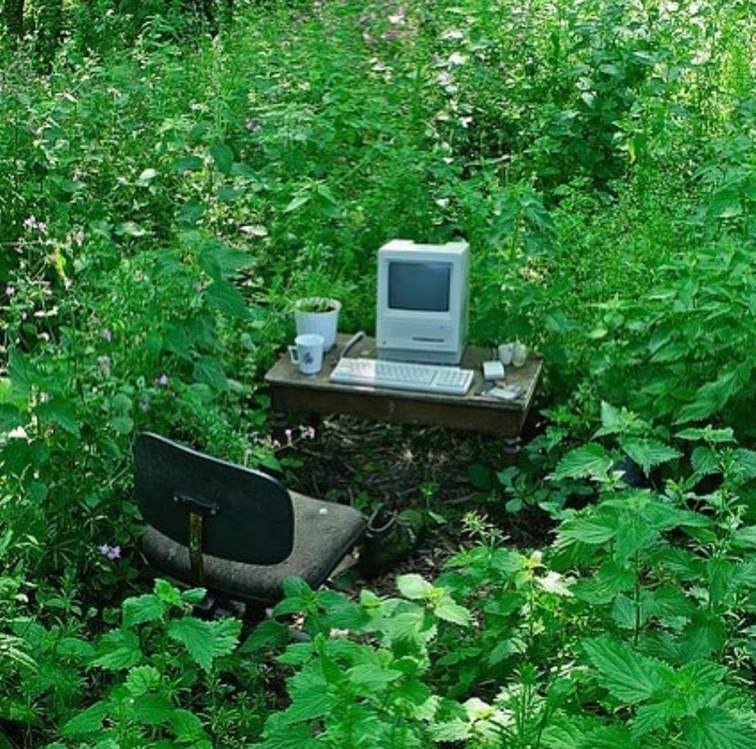 outdoorcomputerclub