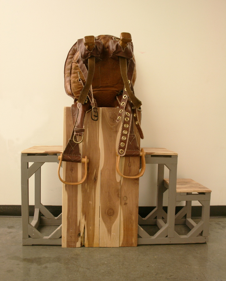 2011 Theresa Hitchcock-The Piggyback Saddle 2011 Theresa Hitchcock-The Piggyback Saddle