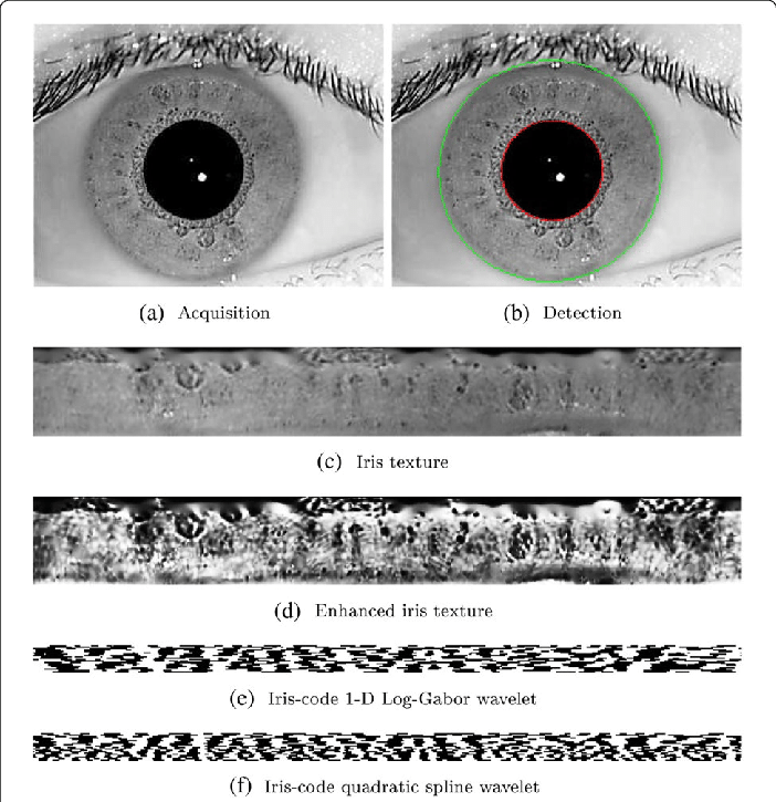 Ris-recognition-processing-chain-a-iris-image-b-iris-detection-c ...