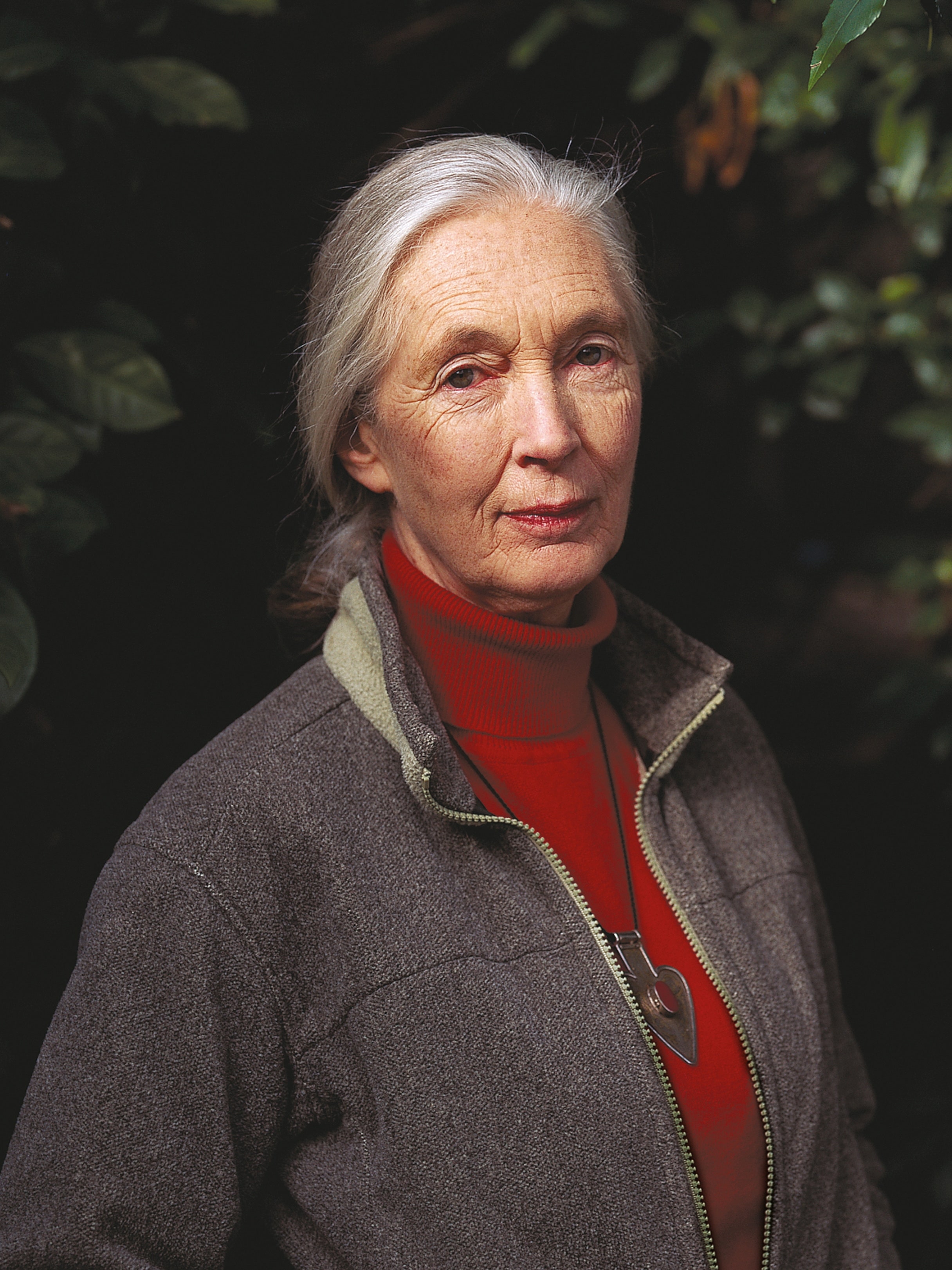 00-jane-goodall.jpg | Are.na