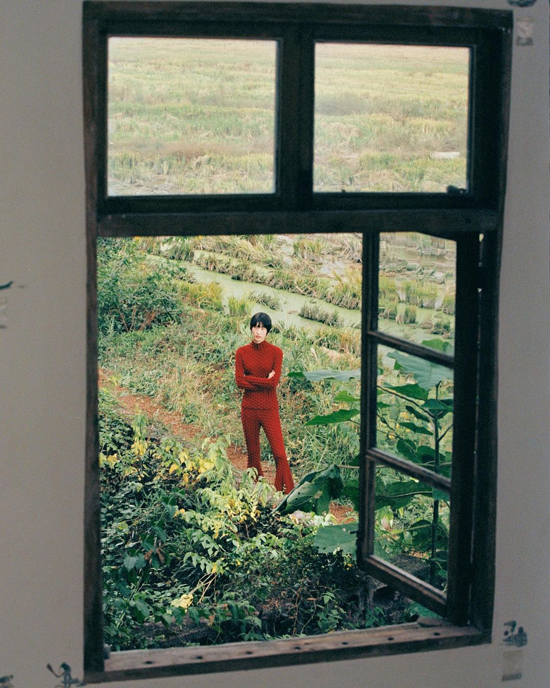 A color film photograph taken through a black-framed window showing a person in a red knit sweater standing in an overgrown garden or agricultural field with tangled vegetation and water channels visible in the background.