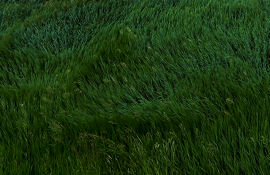 original_b114db068614a896a5347690af364c02.gif