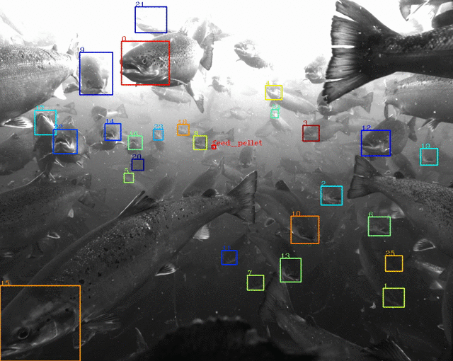 original_3913e89eb36f6a7a5bcba6d700e0e0d3.gif?1588198891?bc=0