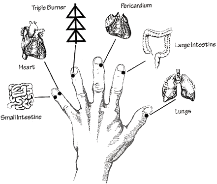 Body mapping — Are.na
