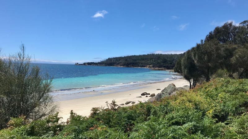 A beach on Maria Island, Tasmania, with white sand and incredible turquoise sea.