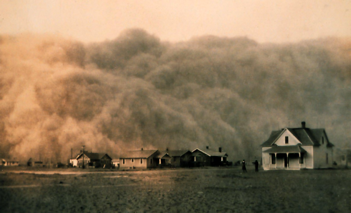 The decimation of the American Buffalo population, coupled with a suite of policies incentivizing farmers to plow the prairie to exhaustion resulted in one of the greatest man-made (intentionally gendered) ecological catastrophes of all time.  850 million tons of topsoil blew away in 1935 during the Dust Bowl. The loss was and still is incalculable. Soil health is public health. 