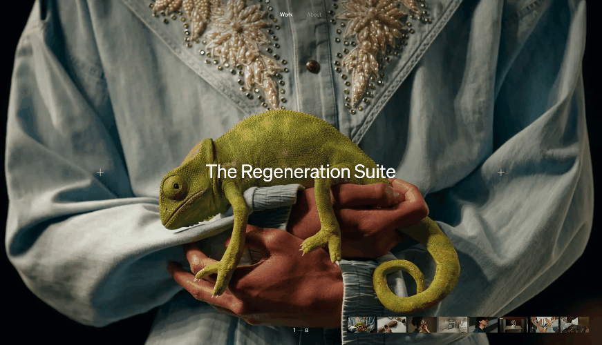 regeneration Suite Landing Page