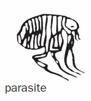 parasite.gif
