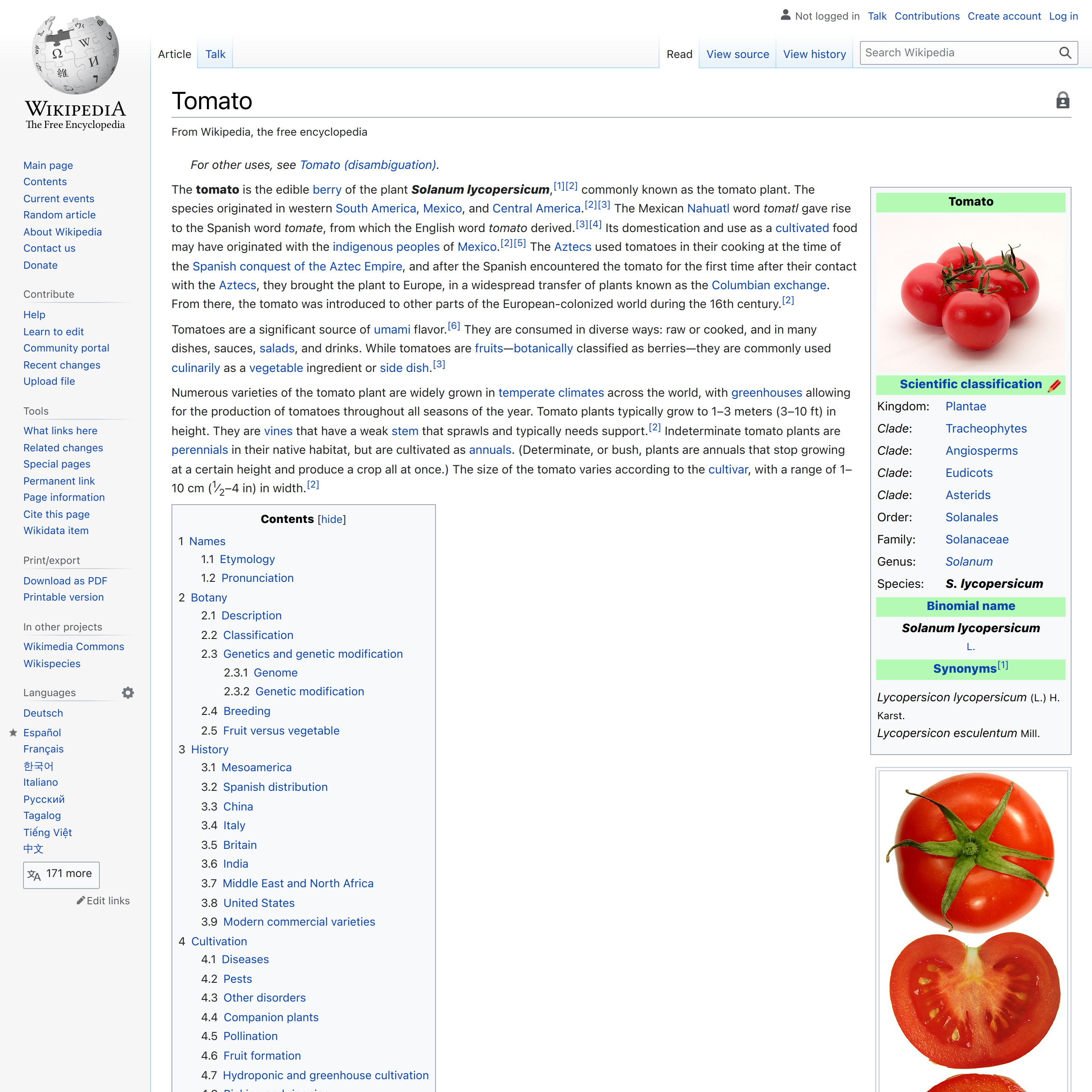 Tomato - Wikipedia