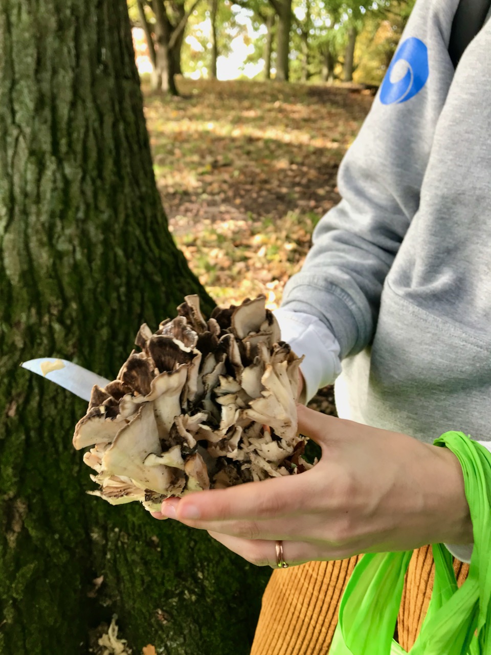 Maria holding the hen of the woods fungus that we found in one hand and a small knife in the other.