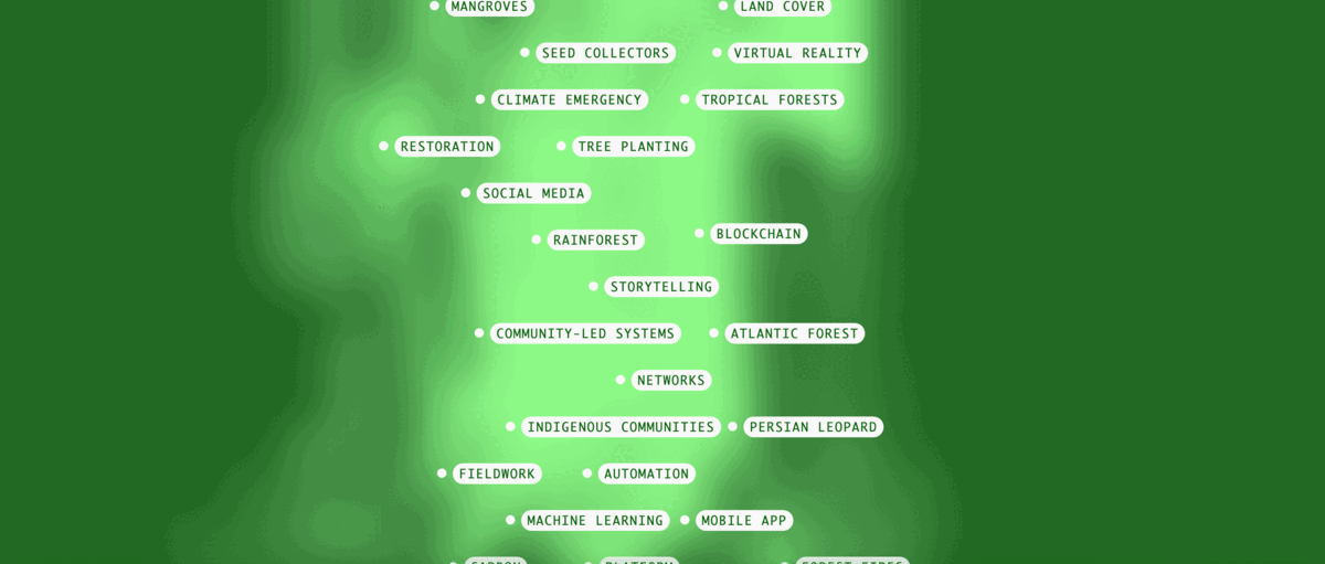 An animation showing an assortment of tag cloud permutations.