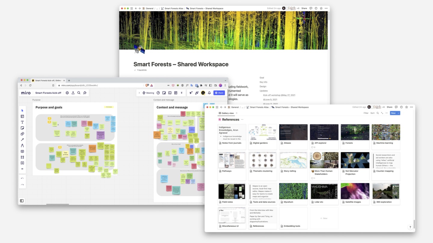 Screenshots from our collaborative workspaces in Notion and Miro.