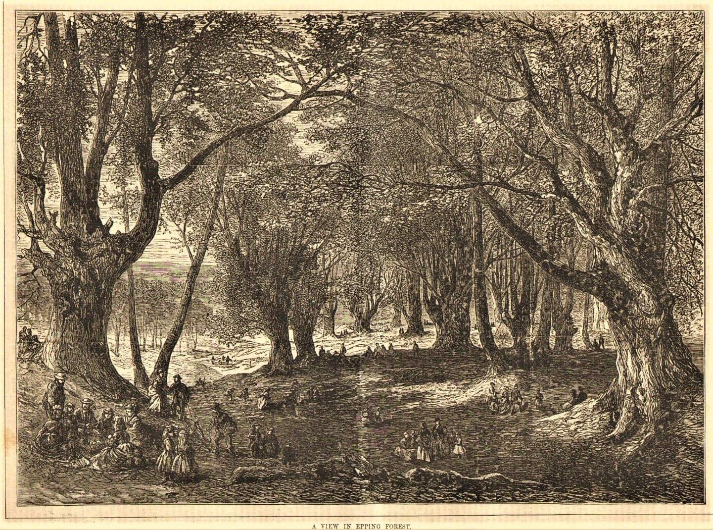 An illustration of Epping Forest in the 19th century. People are walking and sitting in groups, and the trees look enormous. The caption says "A view in EppingForest"
