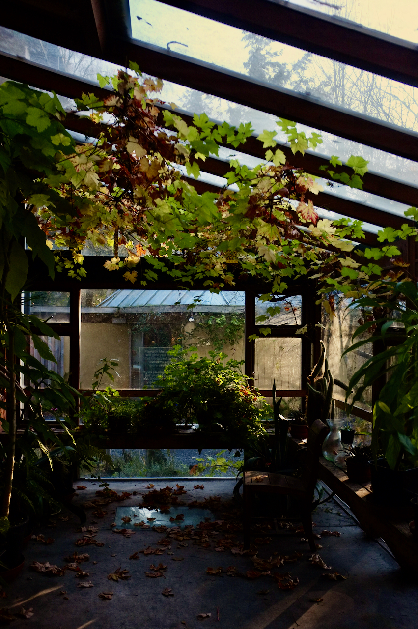 The conservatory of the "Whole House" building. It was constructed in the mid-70s to demonstrate insulation techniques like super thick walls and small windows, which are a bit outdated now.