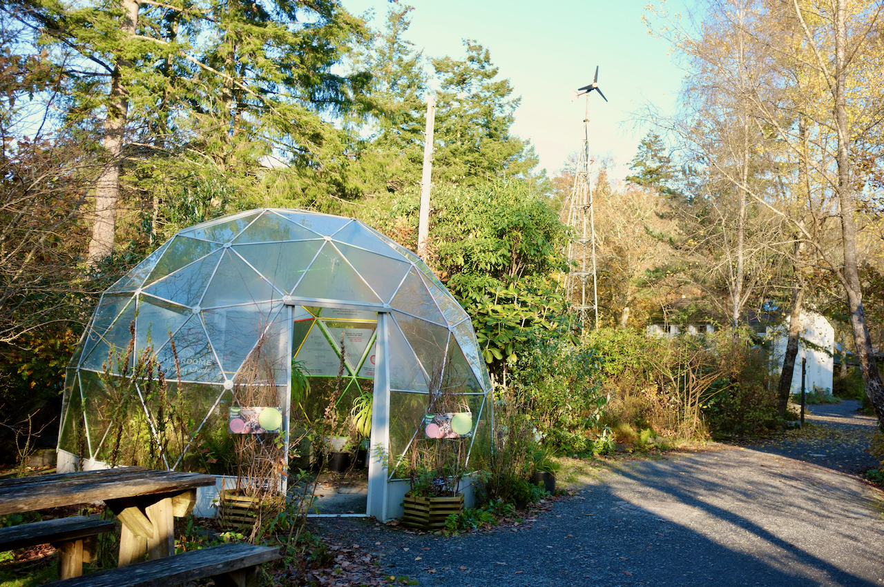 A geodesic dome greenhouse next to a tree-lined pathway. In the background is another windmill.