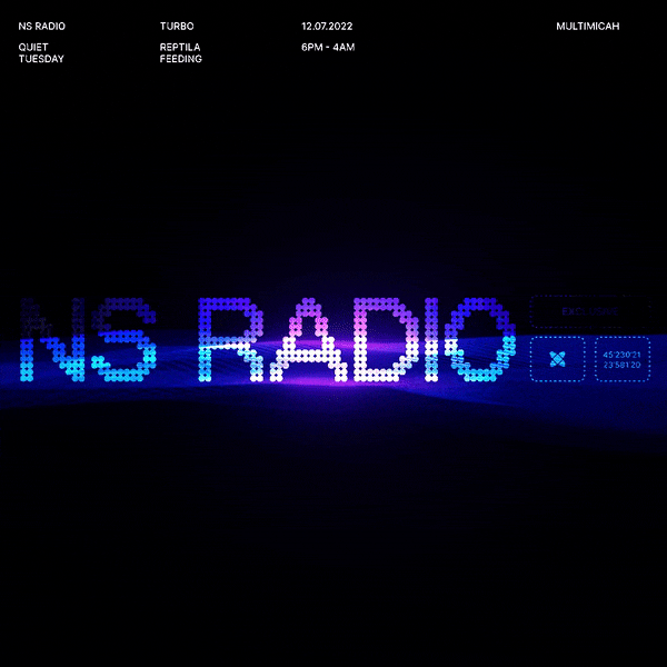 ns_radio.gif