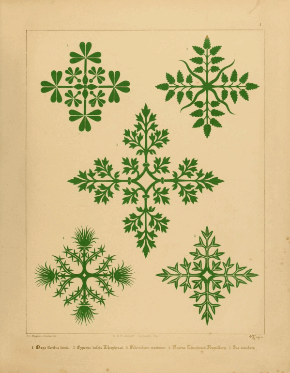  “Floriated ornament: a series of thirty-one designs” by Augustus Welby Northmore Pugin, 1849
featuring floral patterns in old paper.