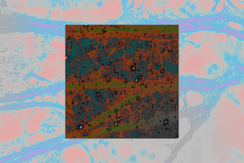A textural digital collage in cyan, lavender, coral, olive, rust and teal. The background image is a microscopic photo of soil, the foreground is a super high resolution photograph of space from the Hubble telescope.