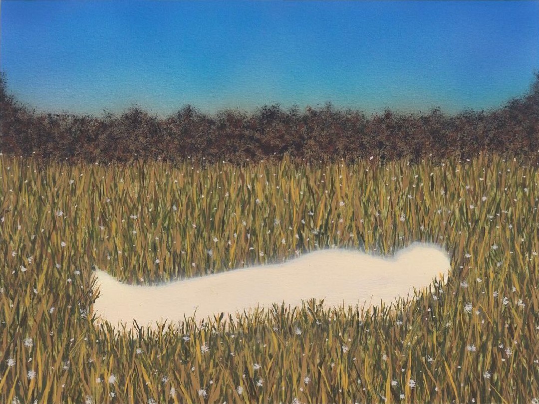 image of an aura in the shape of a human body lying on a grass field