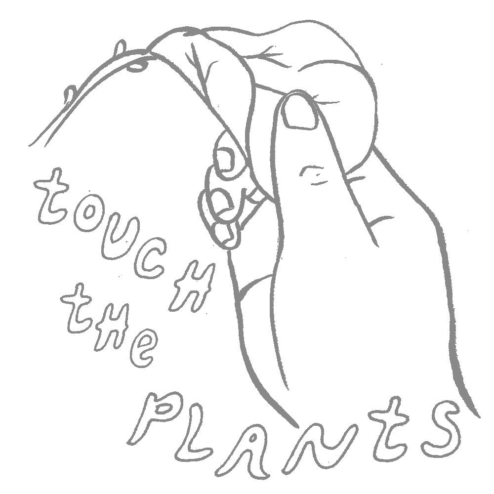 touch the plants