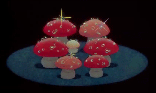 2cb65c46-4e41-4543-9907-4dc5a179d157.gif