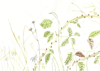 Plant Growth Art GIF by Katie Drew - Find &amp; Share on GIPHY