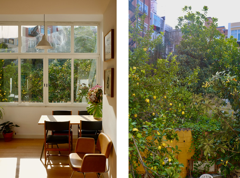 On the left is a photo of our sunroom. There is a dining table with a bunch of flowers on it. On the right is a photo out the window, with lush foliage growing around and on top of a painted yellow wall.