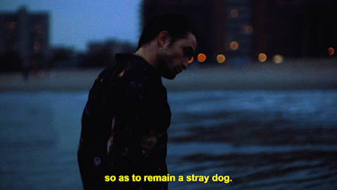 Captured From Interview Magazine 2018 A Stray Dog : Robert Pattinson