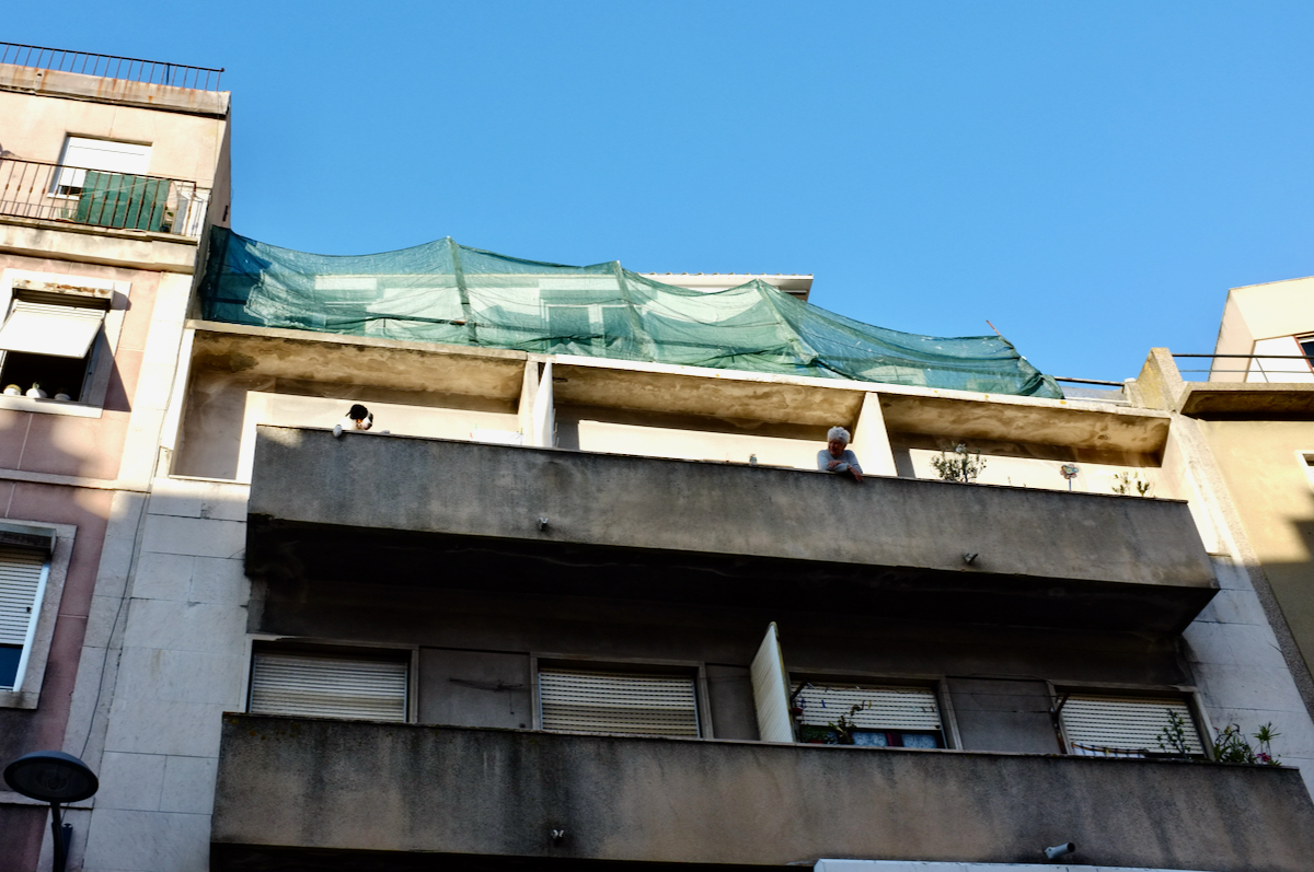 A person and a dog both lean out over a concrete balcony.