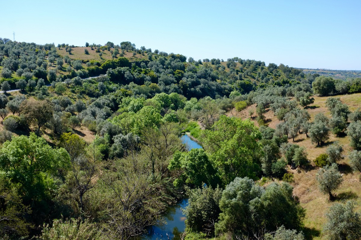 The view across the valley in Montemor: lush trees, dry grass, bright blue sky and a gently flowing river.