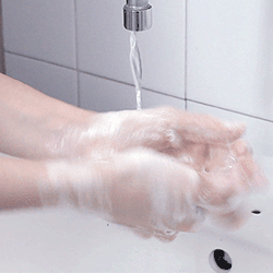 handwash.gif