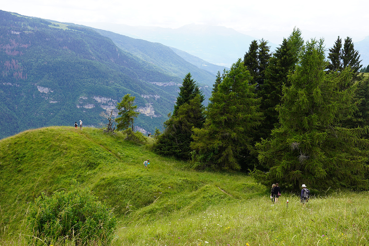 Hiking through meadows.