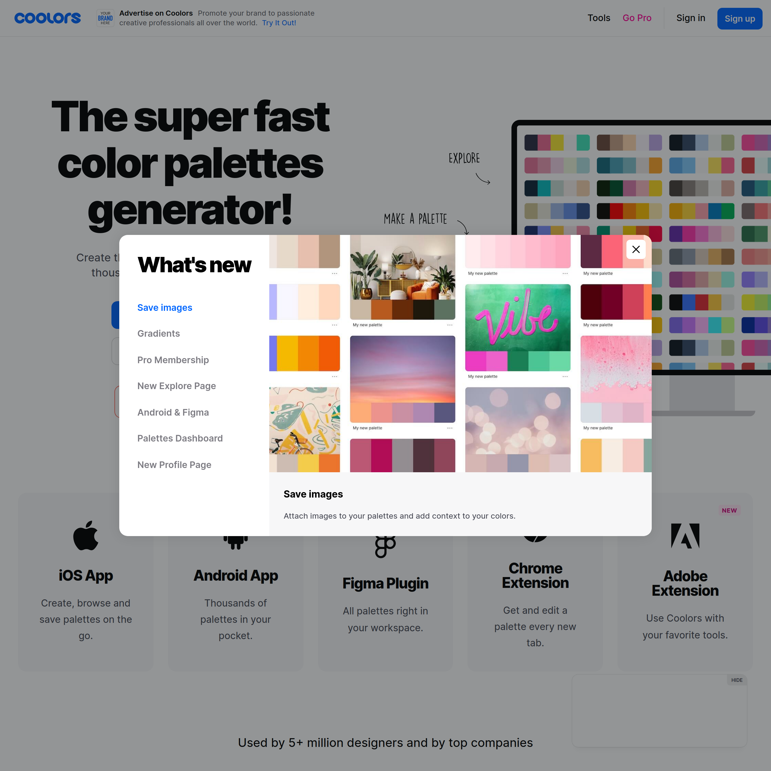 Coolors - The super fast color palettes generator!