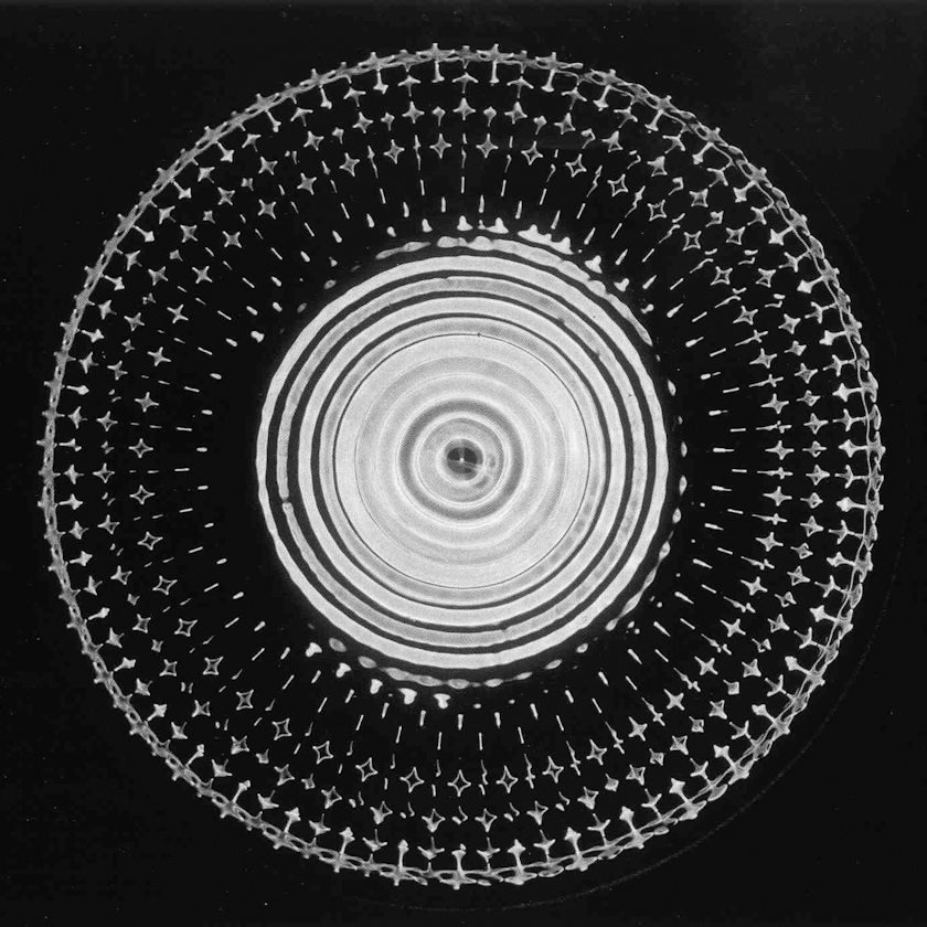 dop-cymatics-17.jpg — Are.na