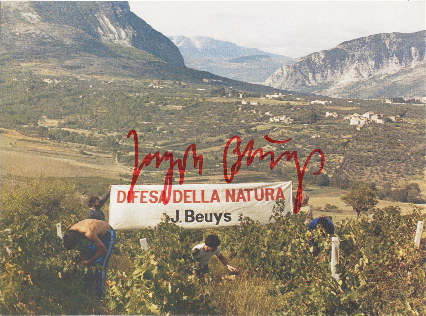 Difesa della Natura, 1984