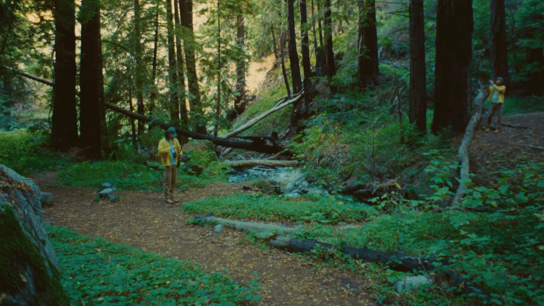 byt_danielvavetta_sustainabilitygoogle_02.gif