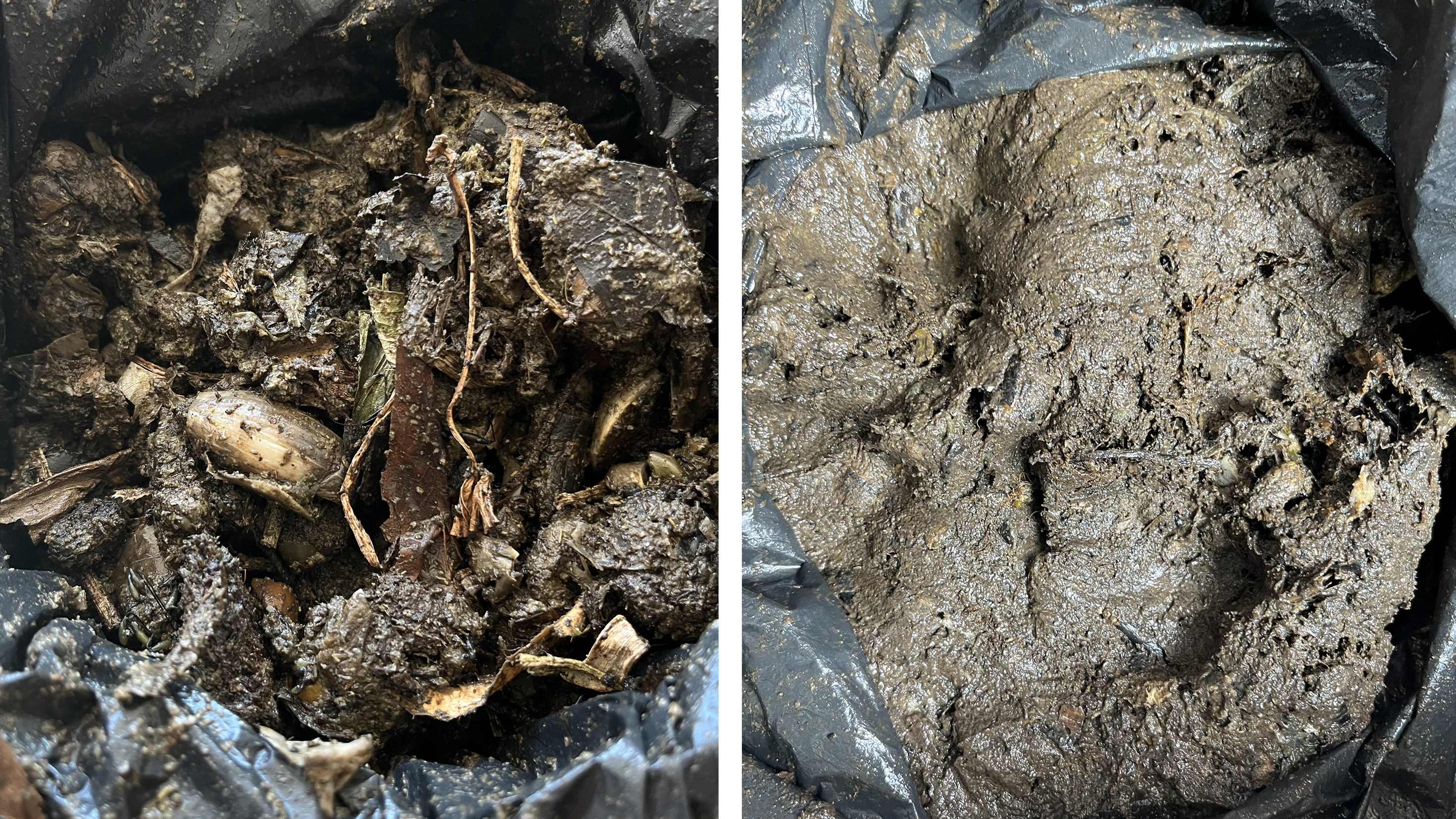 2 pictures of rotten food/compost in varying stages of decomposition. The left has some bigger chuncks in it and looks slimy, the right looks like sludge.