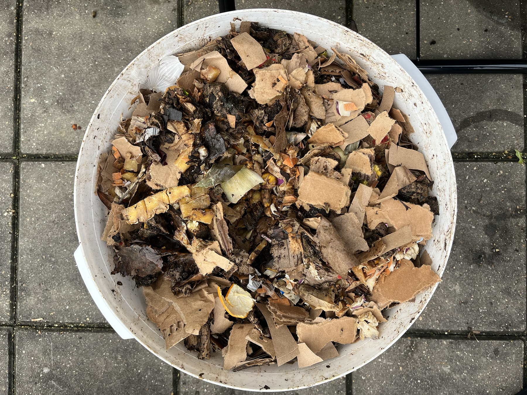 Large white bucket with food scraps and cardboard almost to the top