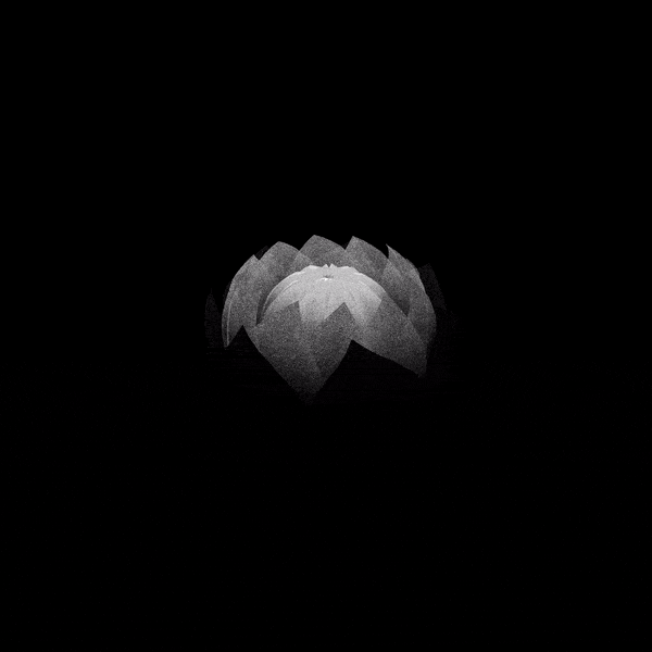 36c5b2d8552127fe1a442a.gif