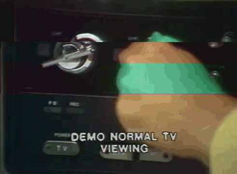 giphy-13-.gif