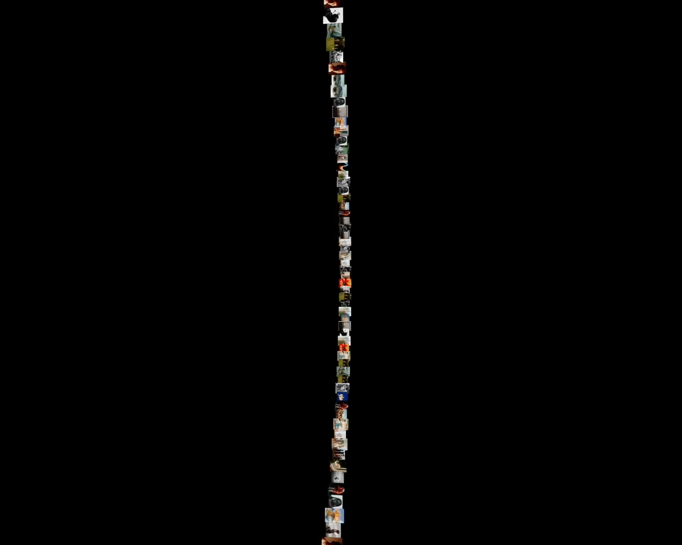 cc-studio-08-18-11.28.09_1.gif